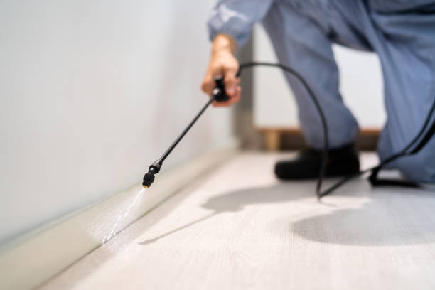 Rodent Entry Point Assessment in Mounds View