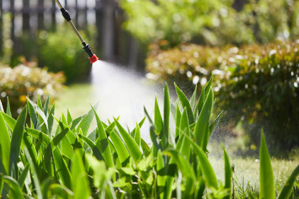 Tamper-Resistant Bait Stations for Rodents in Mounds View