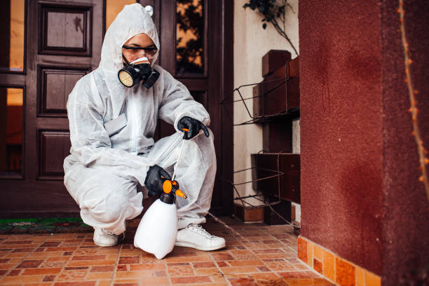 Attic and Crawl Space Rodent Treatment in Mounds View