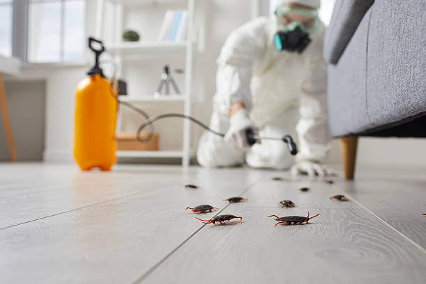 Commercial Rodent Management in Mounds View